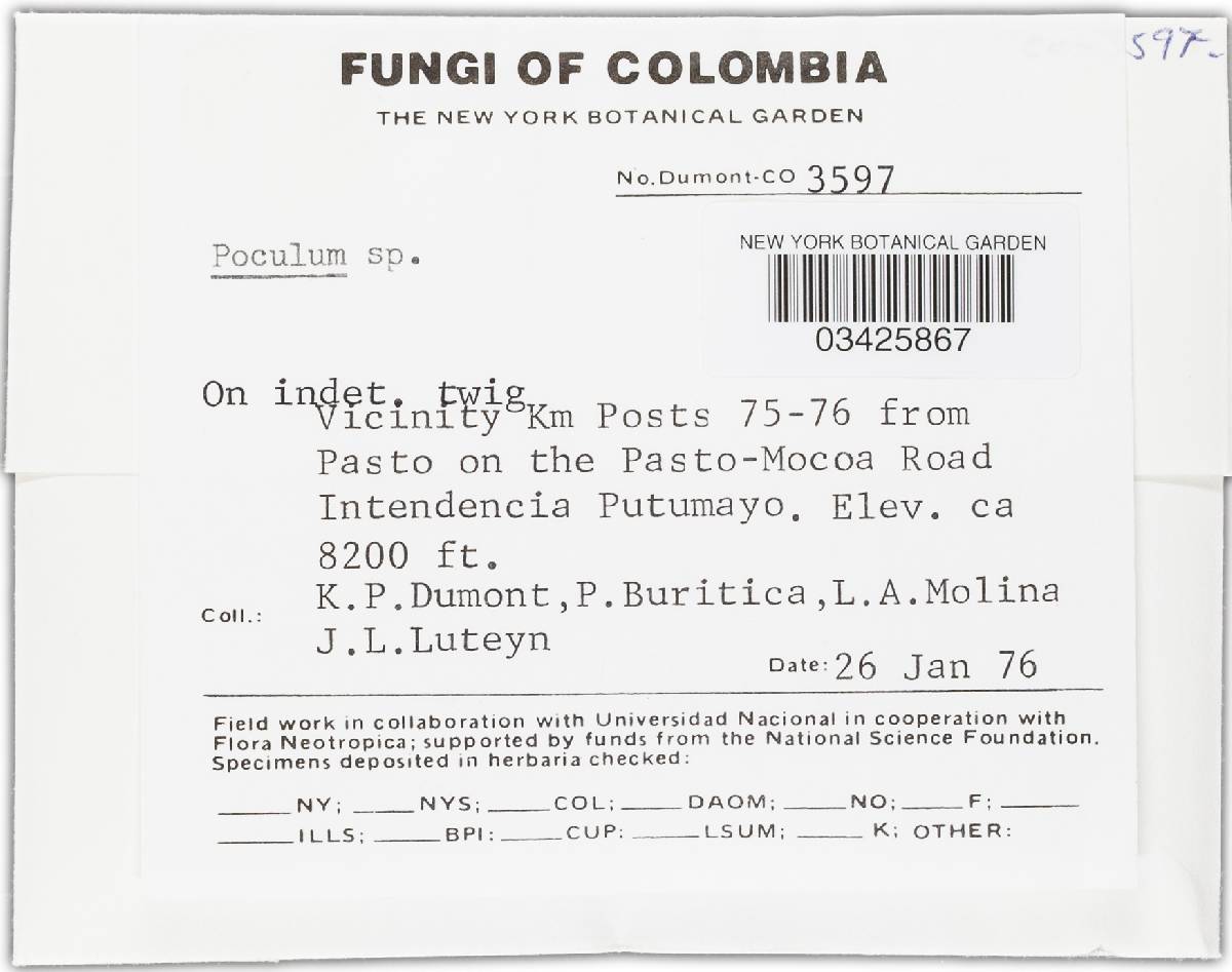 Poculum image