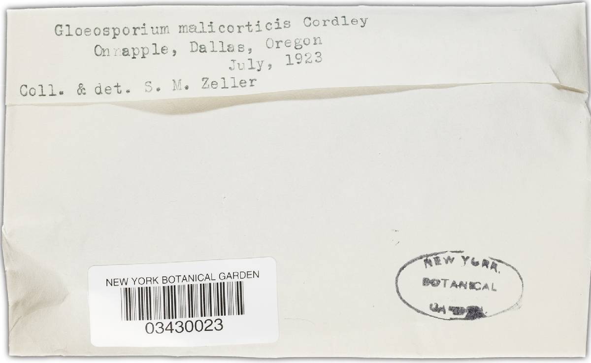 Neofabraea malicorticis image