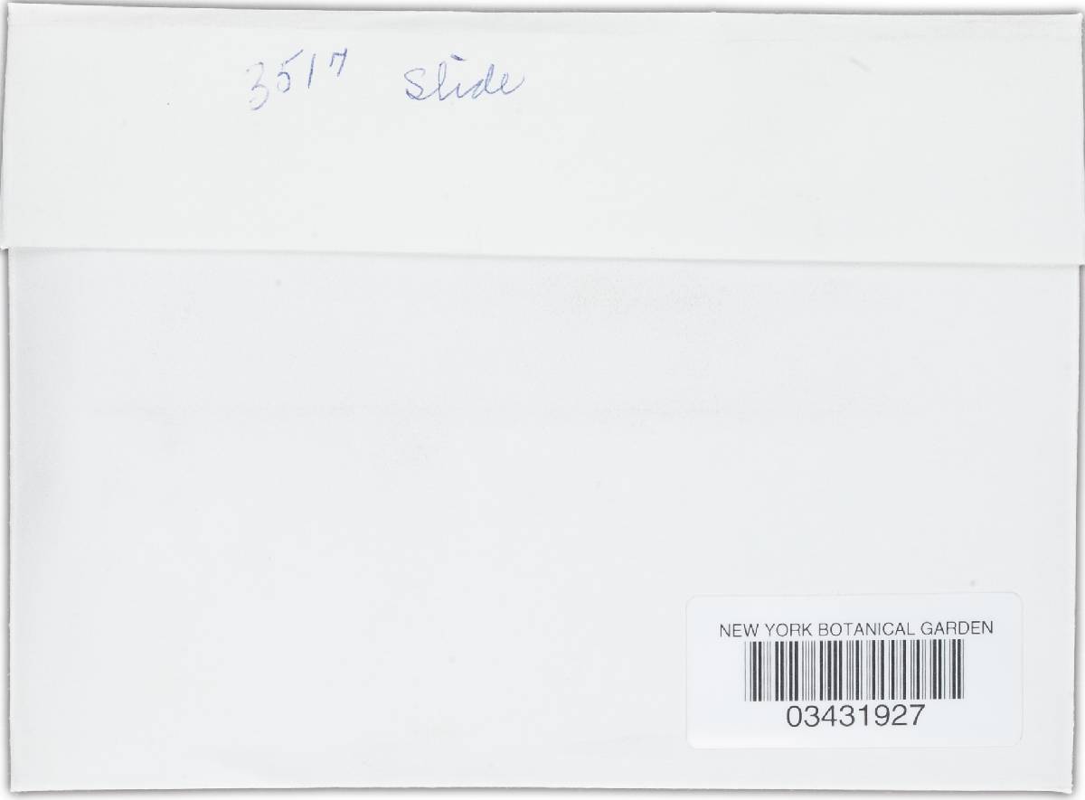 Humaria secreta image