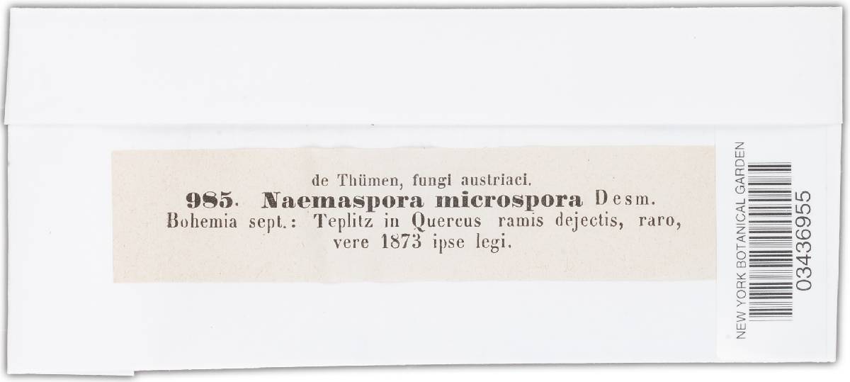 Naemospora microspora image