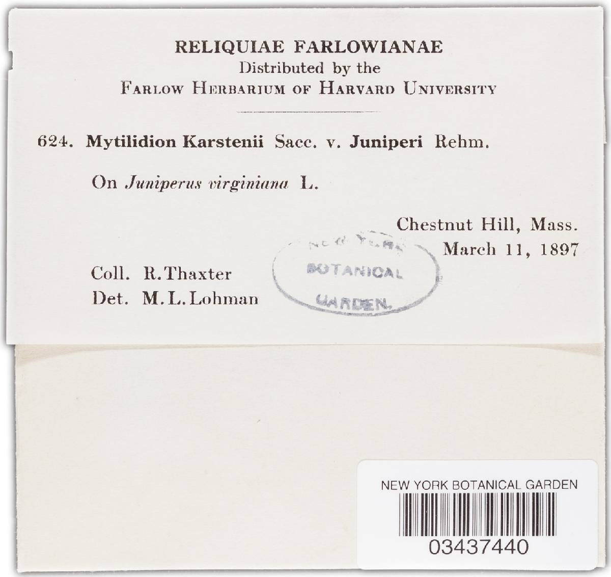 Mytilinidion karstenii image