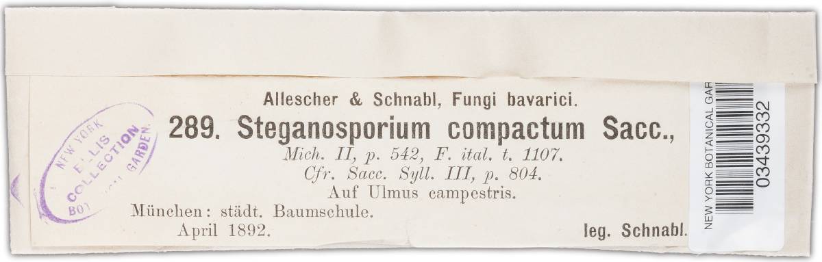 Steganosporium compactum image