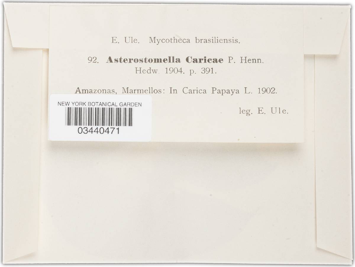 Asterostomella image