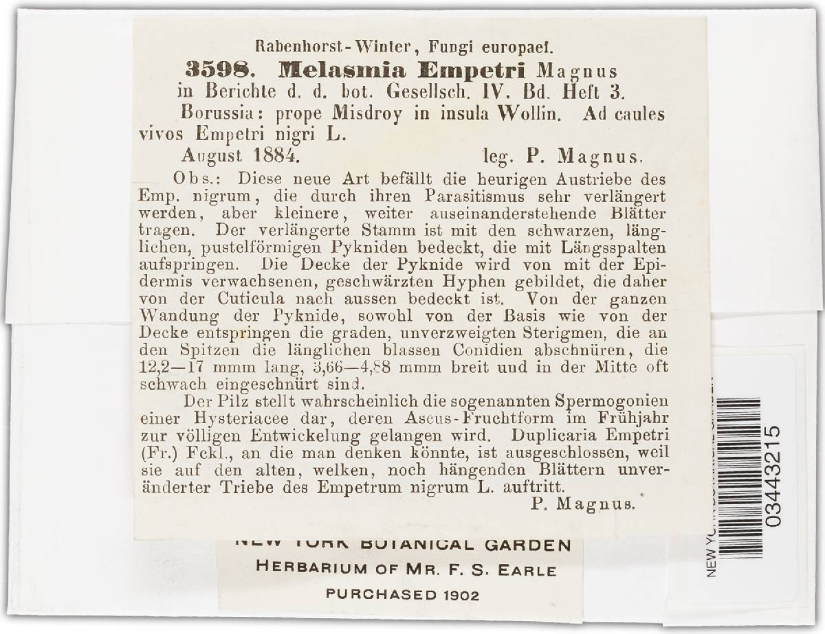 Melasmia empetri image