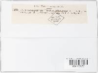Colletotrichum lindemuthianum image