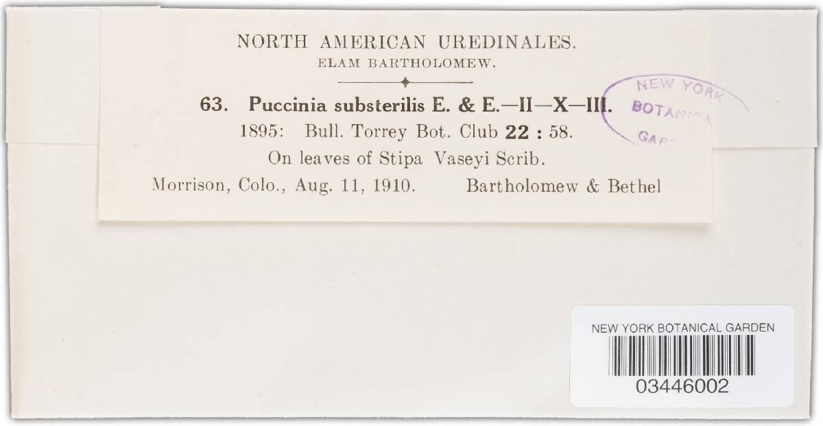 Puccinia substerilis var. substerilis image