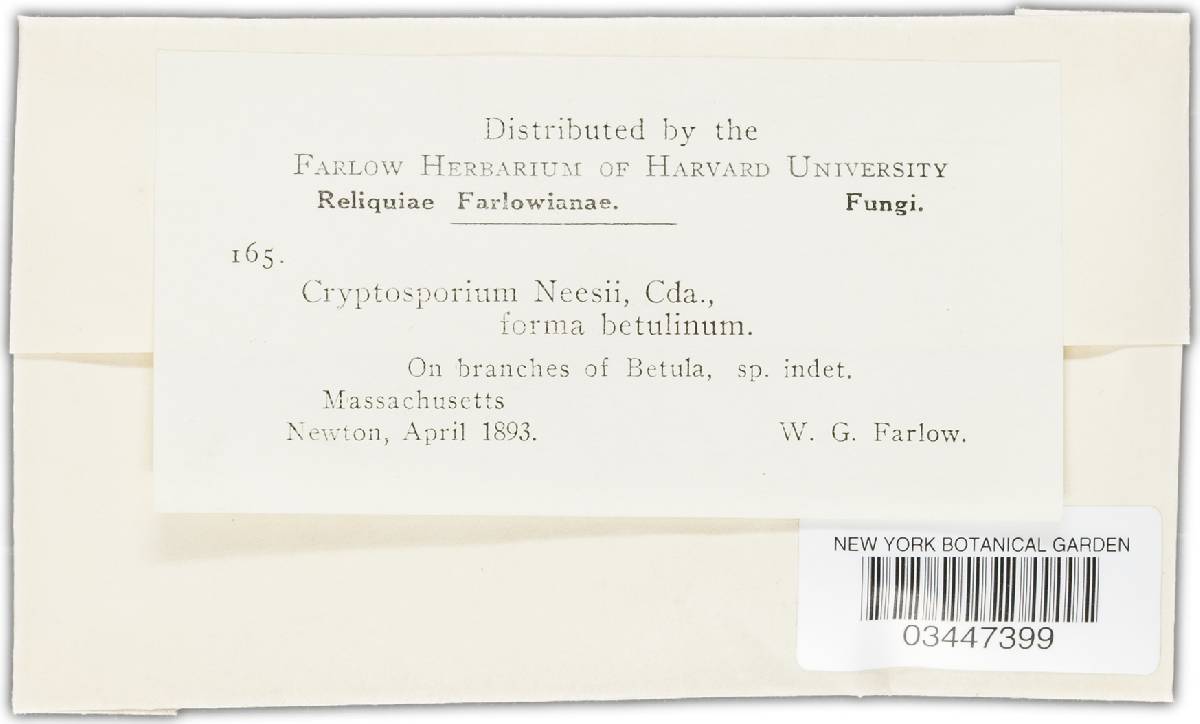 Cryptosporium image