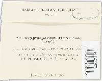 Cryptosporium viride image