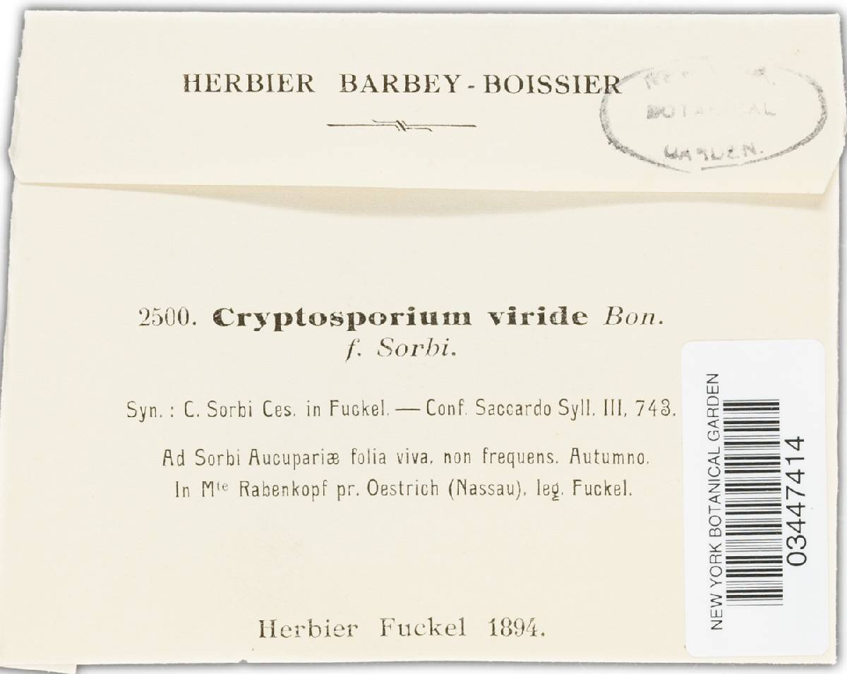Cryptosporium viride image