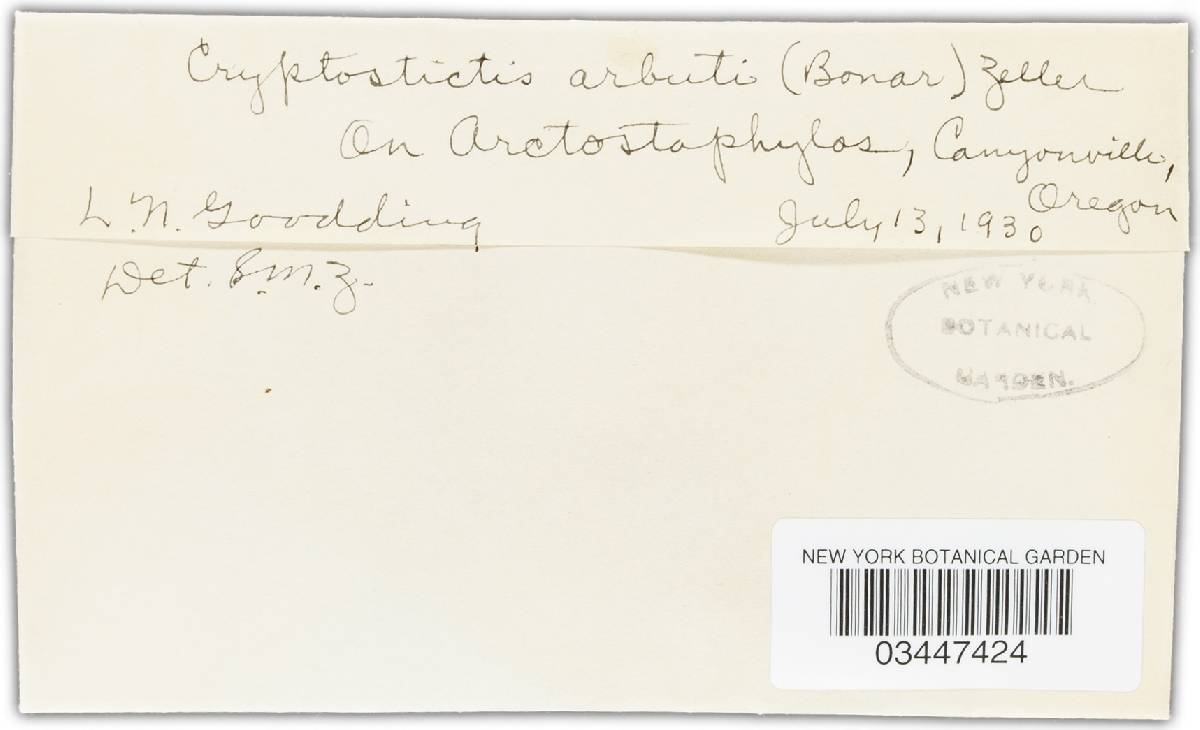 Seimatosporium arbuti image