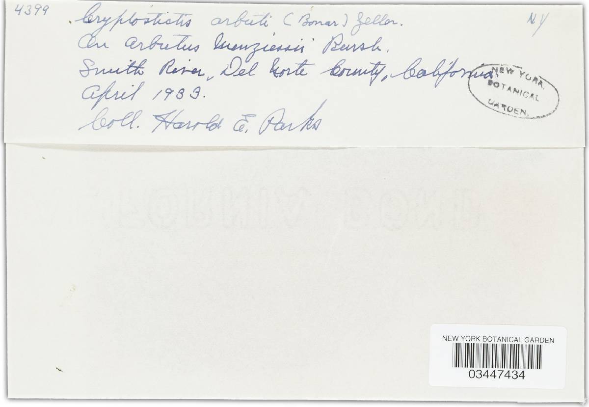 Seimatosporium arbuti image