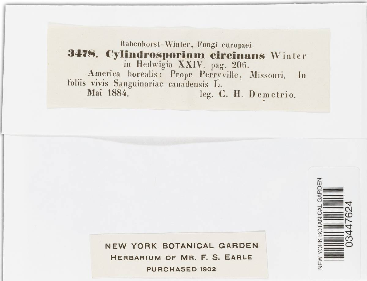 Cylindrosporium circinans image
