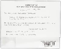 Diplocarpon mespili image