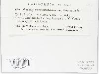 Glomerella cingulata image