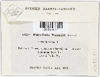 Puccinia veratri image