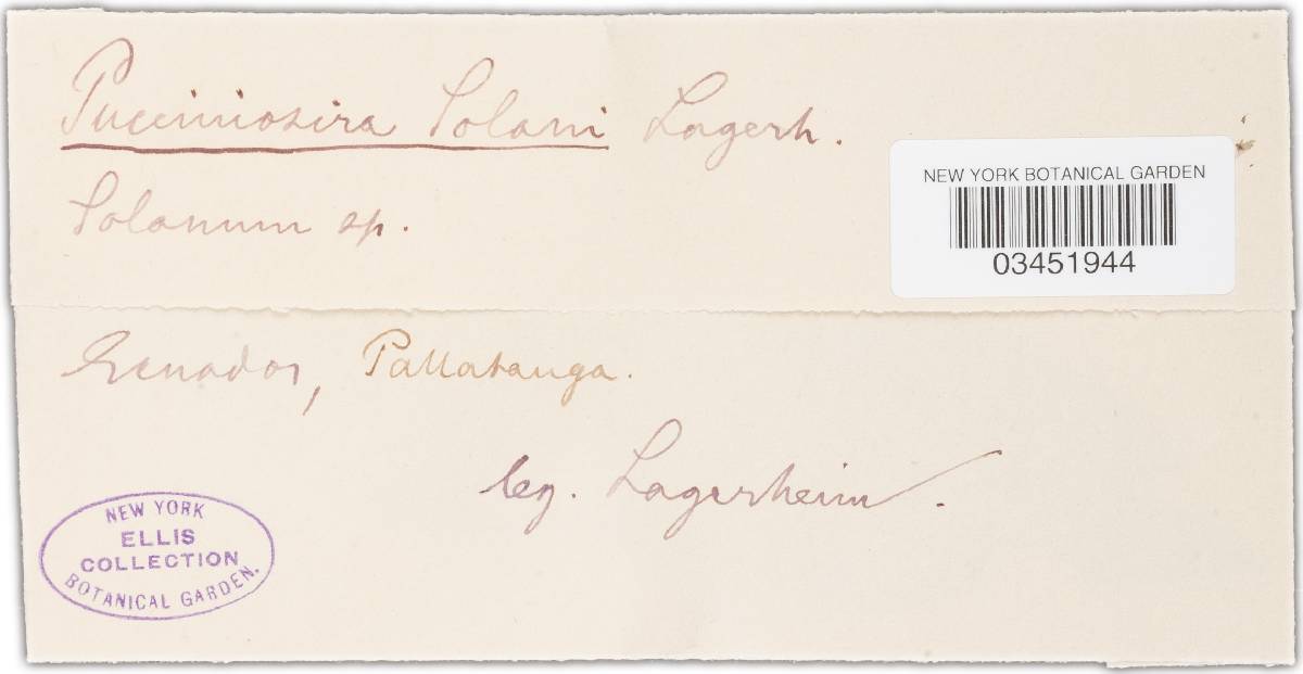 Pucciniosira solani image
