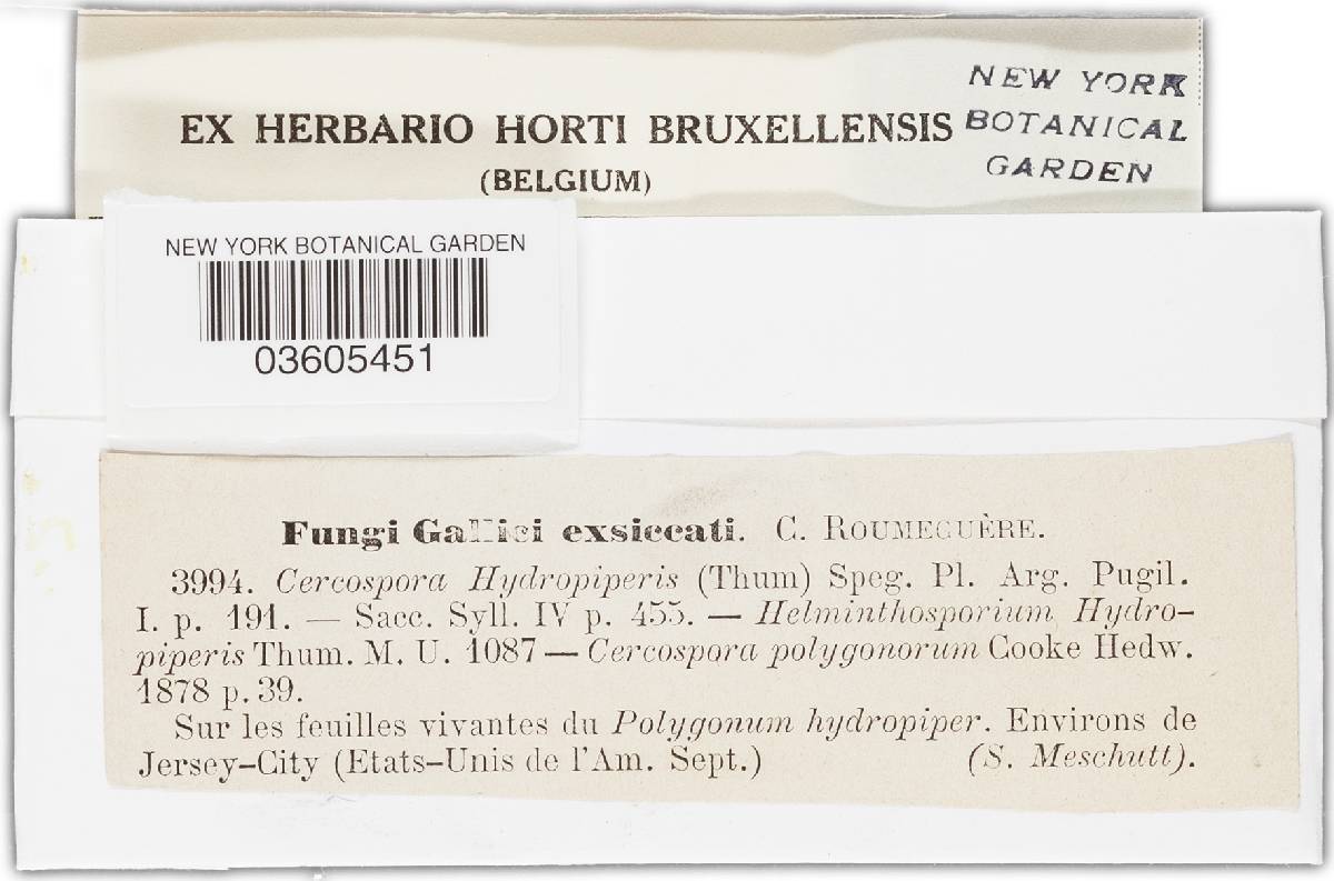 Passalora effusa image