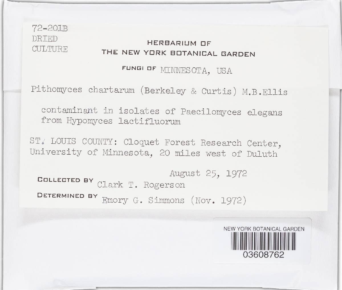 Leptosphaerulina chartarum image