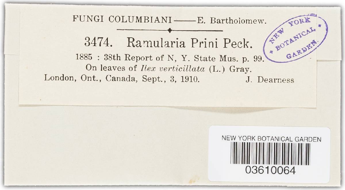 Ramularia prini image