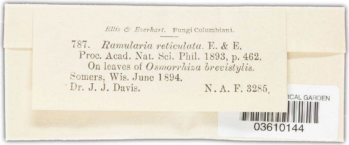 Ramularia reticulata image