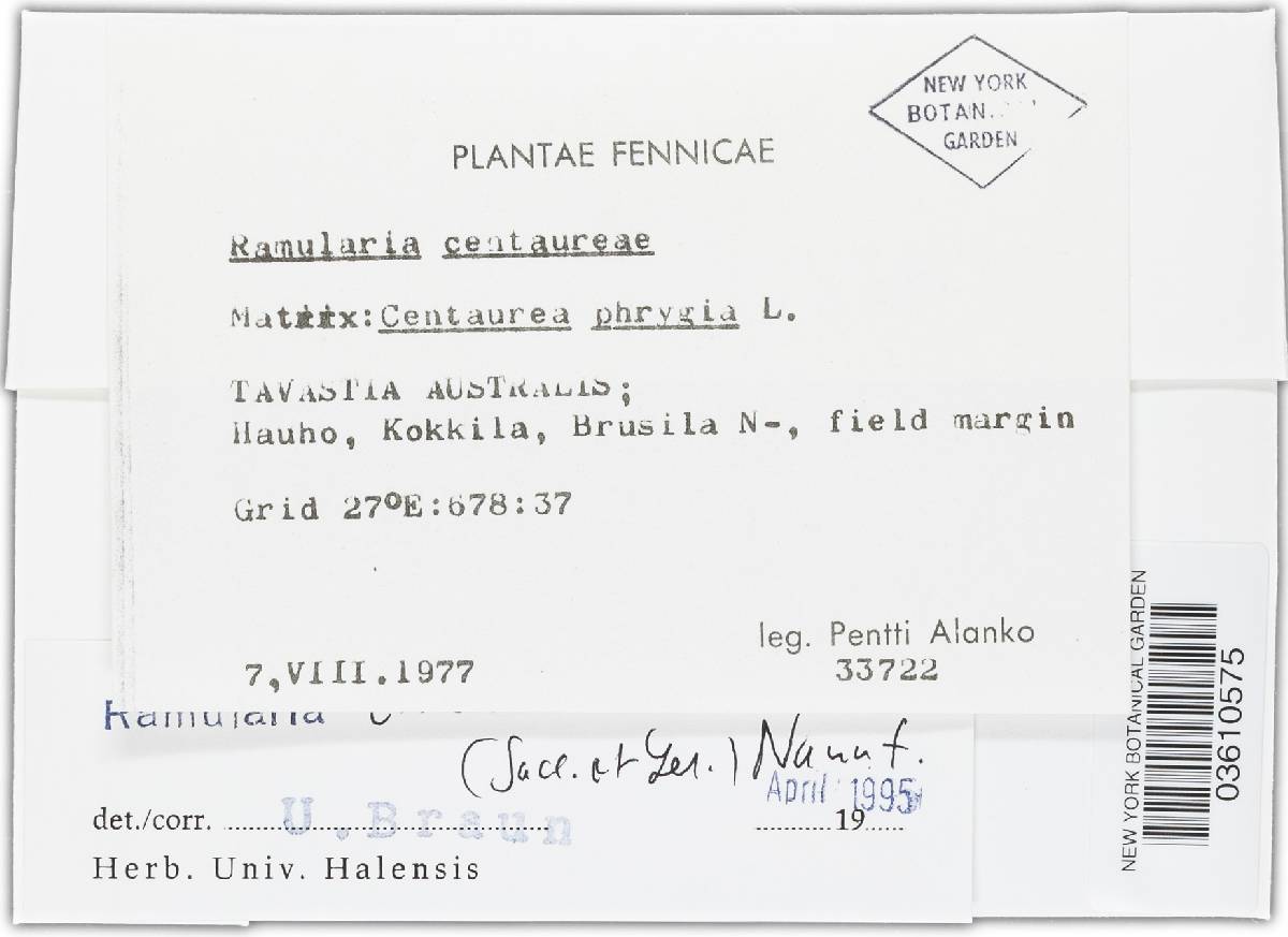 Ramularia triboutiana image