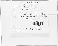 Ramularia variabilis image