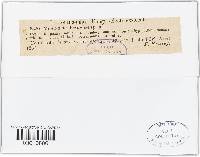Ramularia veronicae image