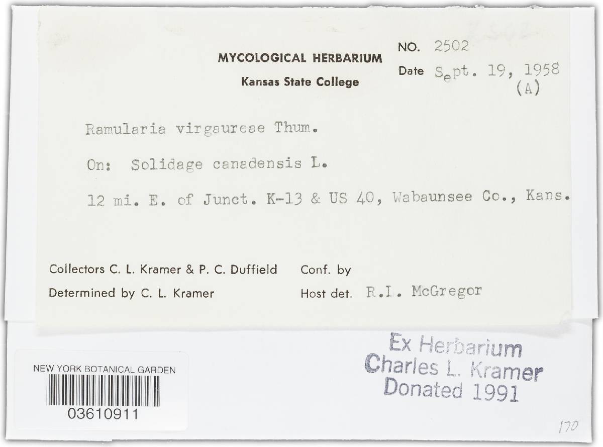 Cercosporella image