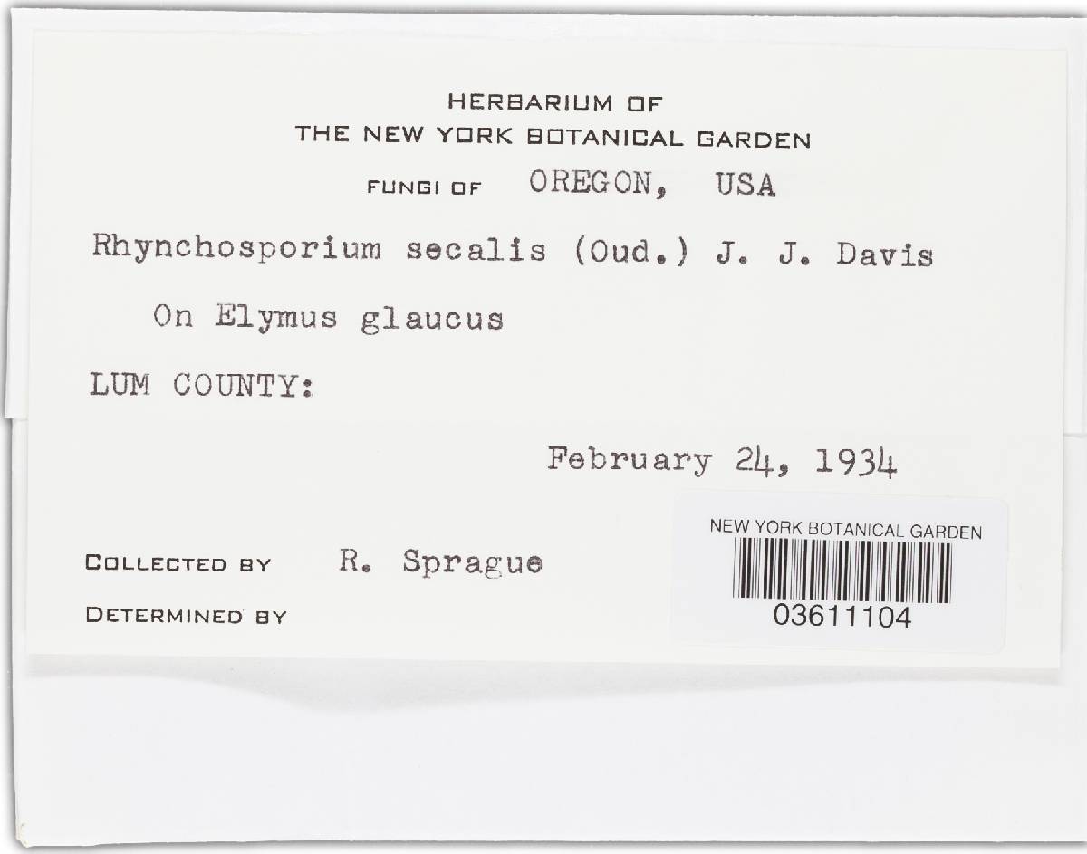 Rhynchosporium secalis image
