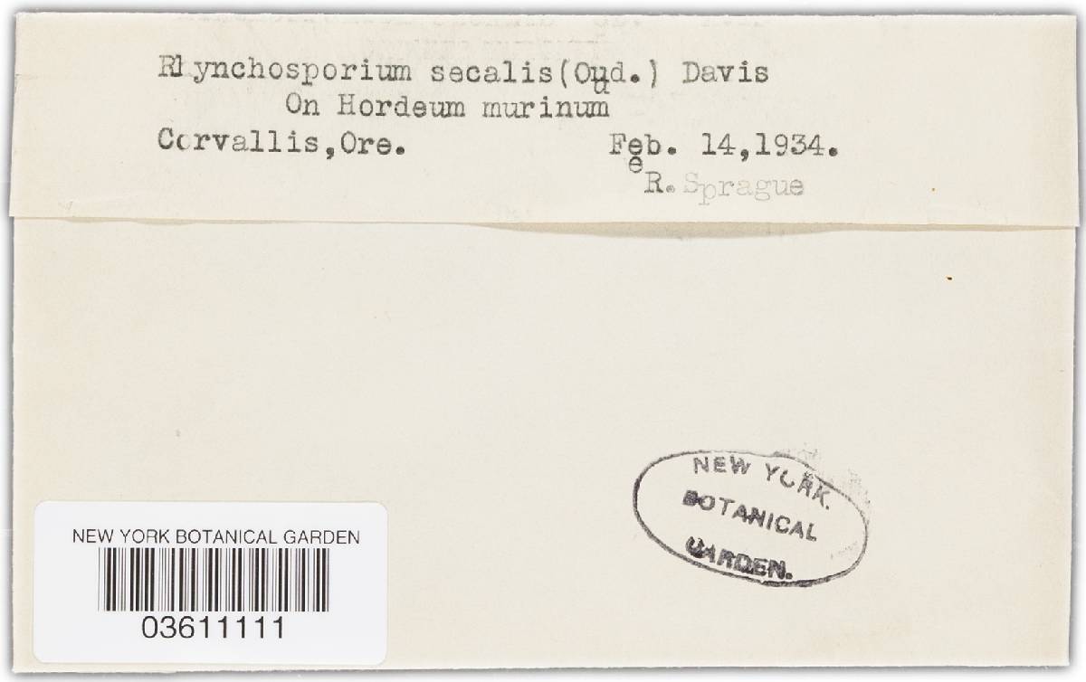 Rhynchosporium secalis image