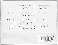 Nectriopsis rexiana image