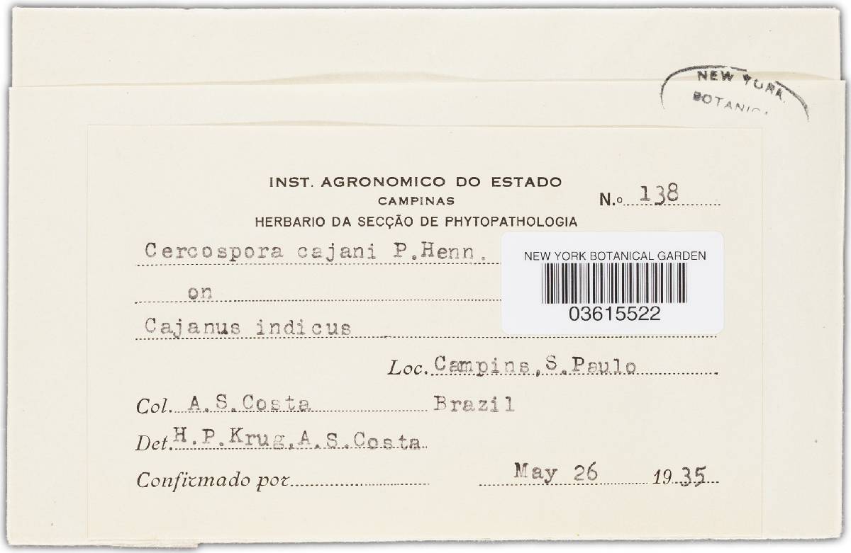 Passalora cajani image