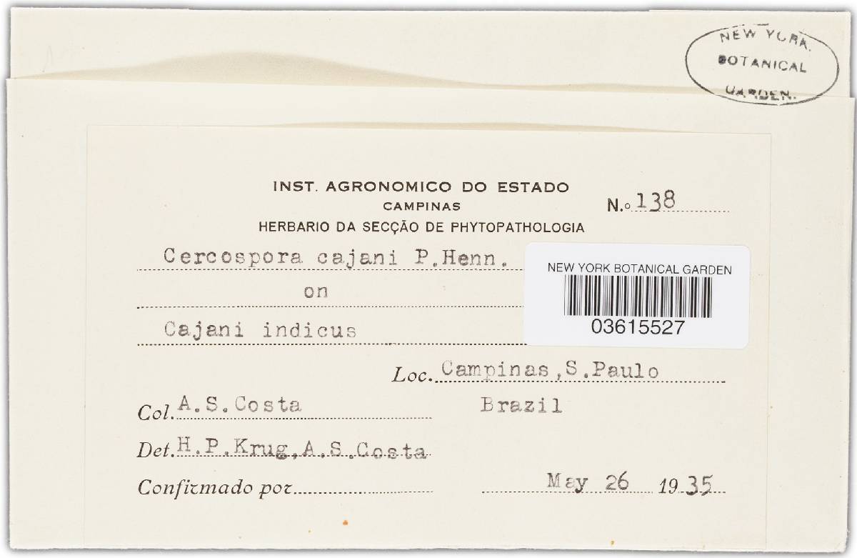 Passalora cajani image