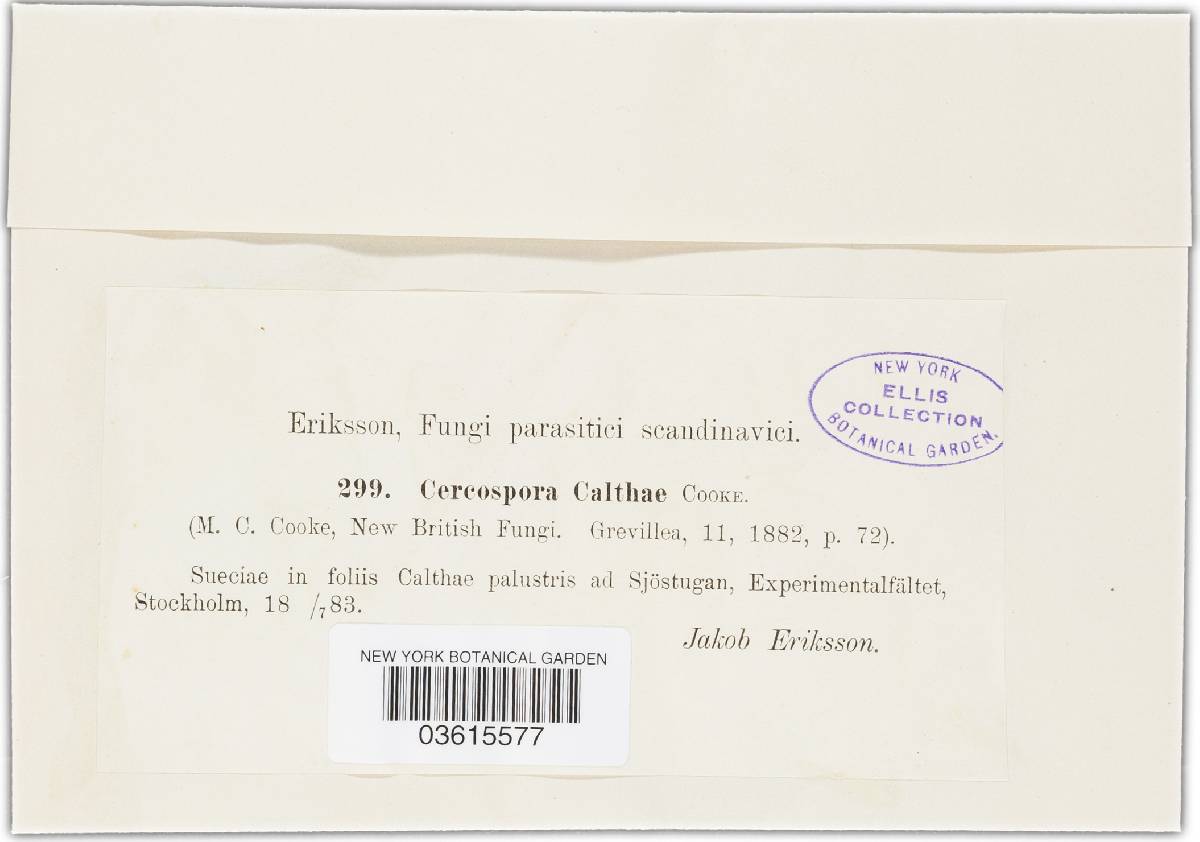 Passalora calotropidis image