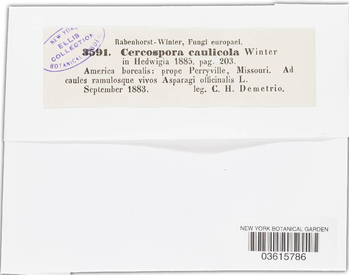 Cercospora asparagi image