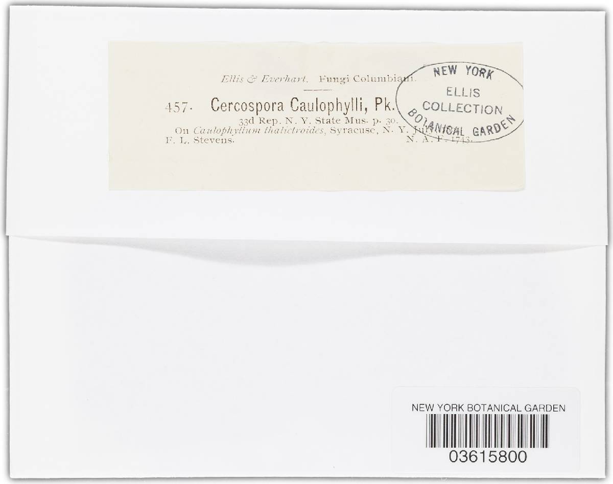 Passalora caulophylli image