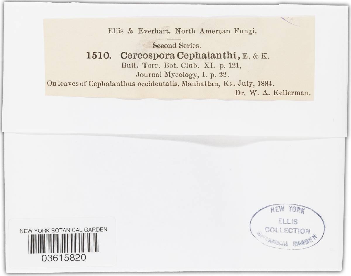Cercospora cephalanthi image