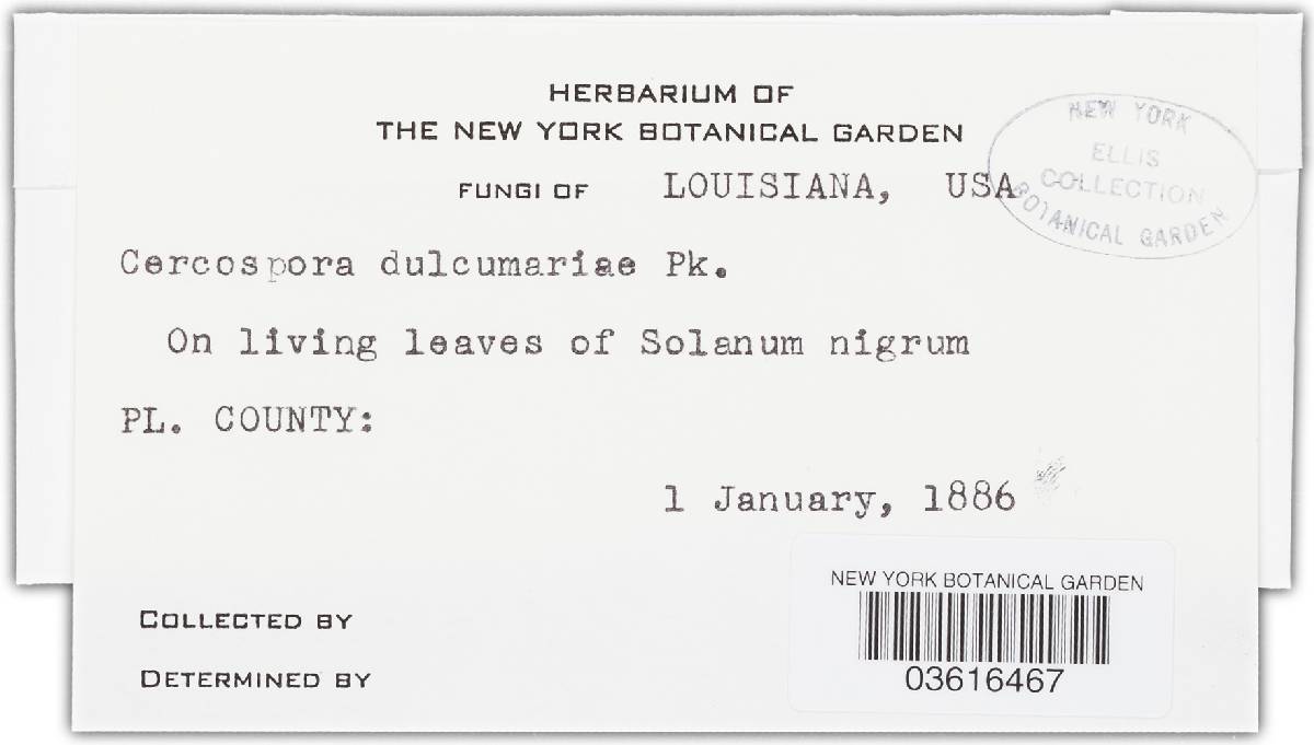 Passalora dulcamarae image