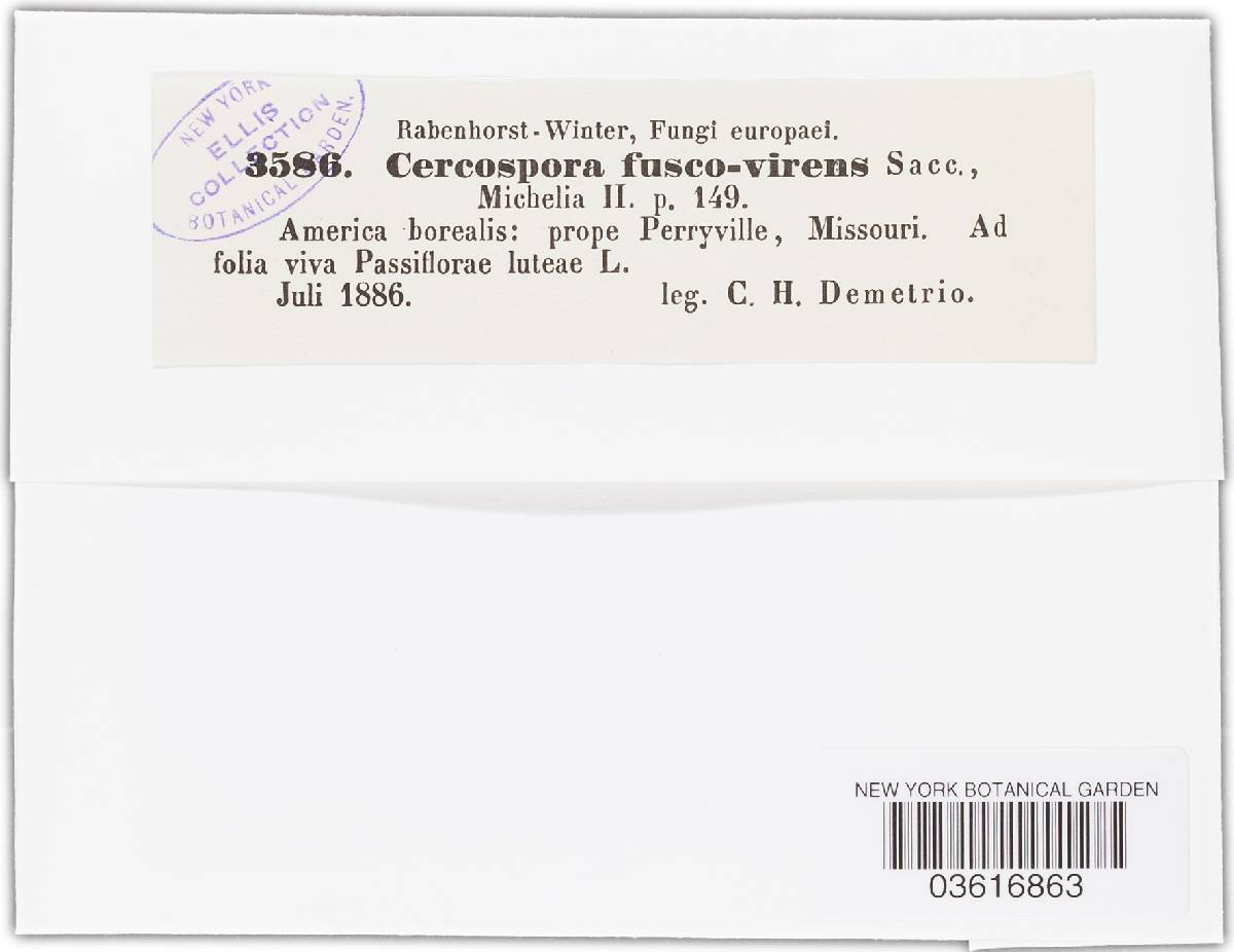 Cercospora fuscovirens image