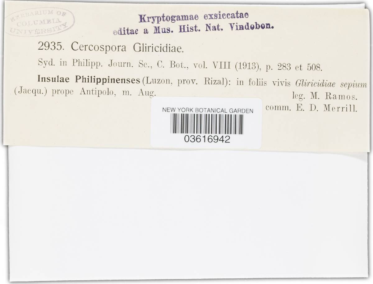 Passalora gliricidiae image