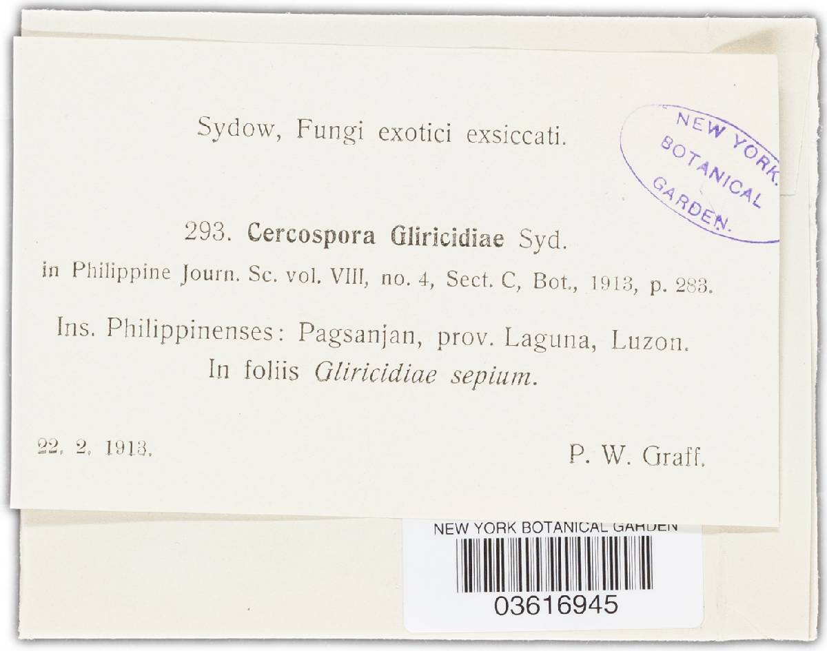 Passalora gliricidiae image