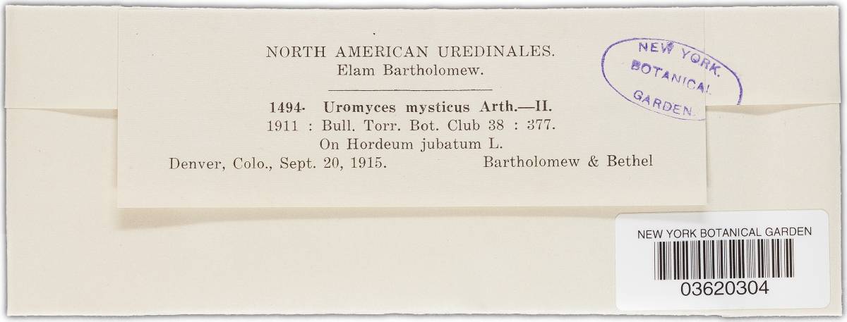 Uromyces fragilipes image