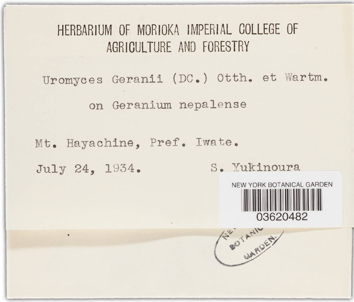 Uromyces geranii image