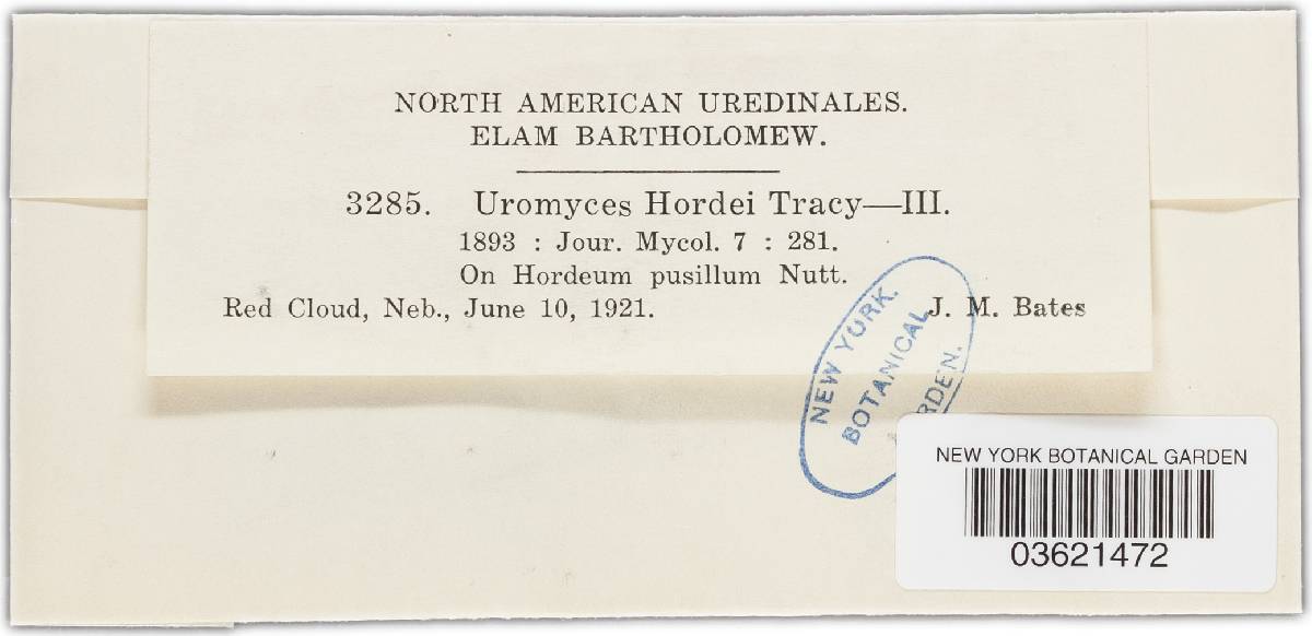 Uromyces hordeinus image