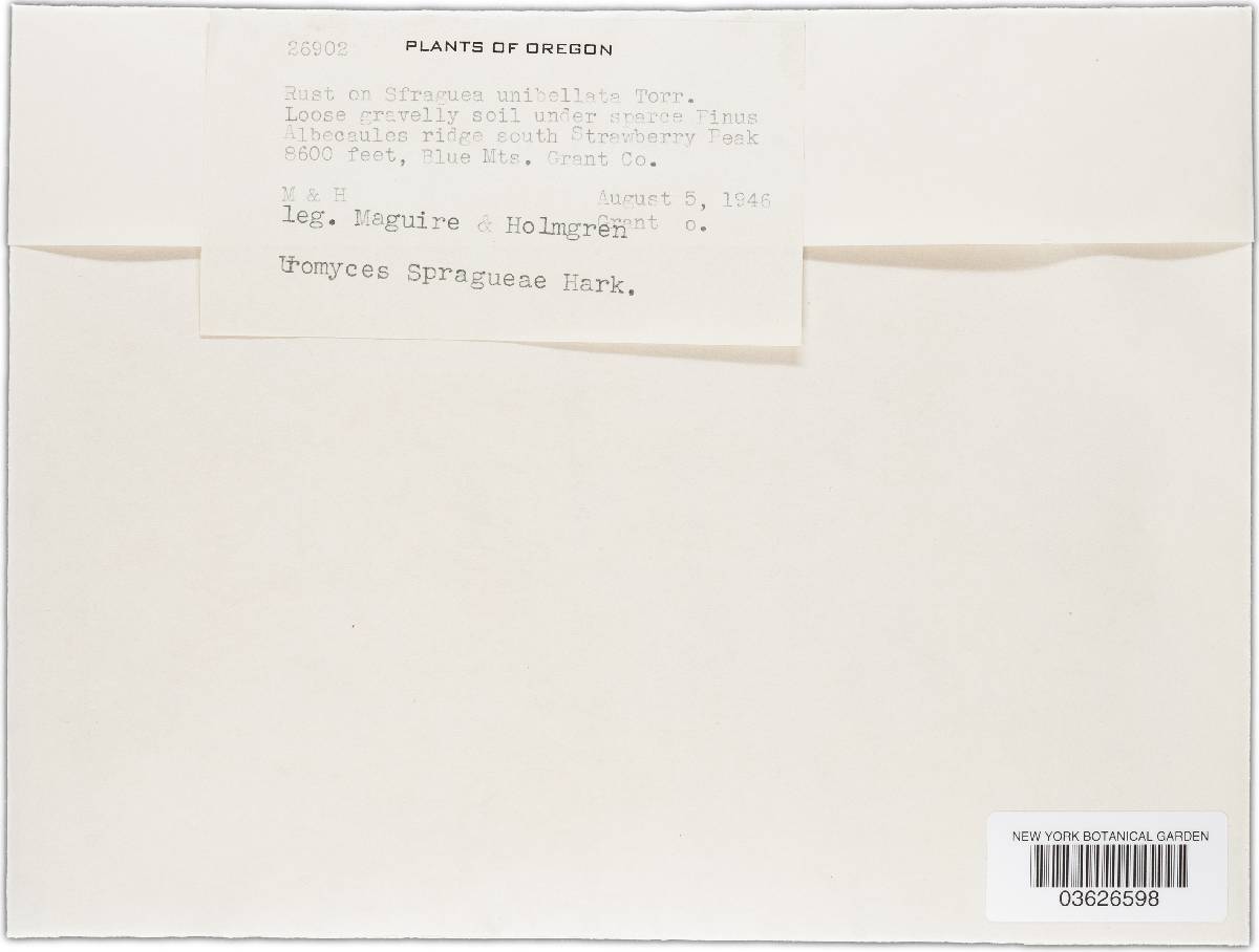 Uromyces unitus image