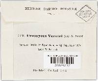 Uromyces veratri image