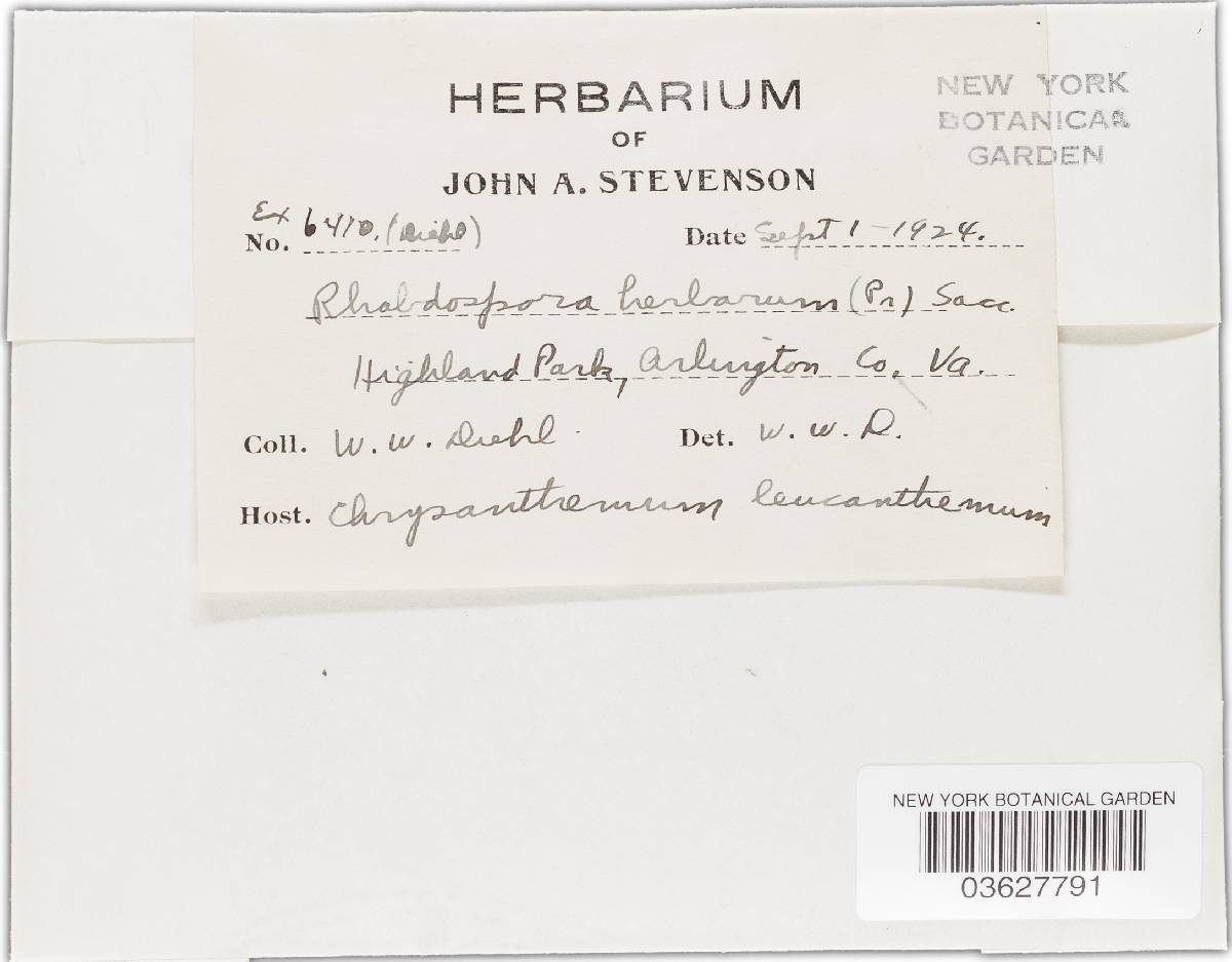 Rhabdospora herbarum image
