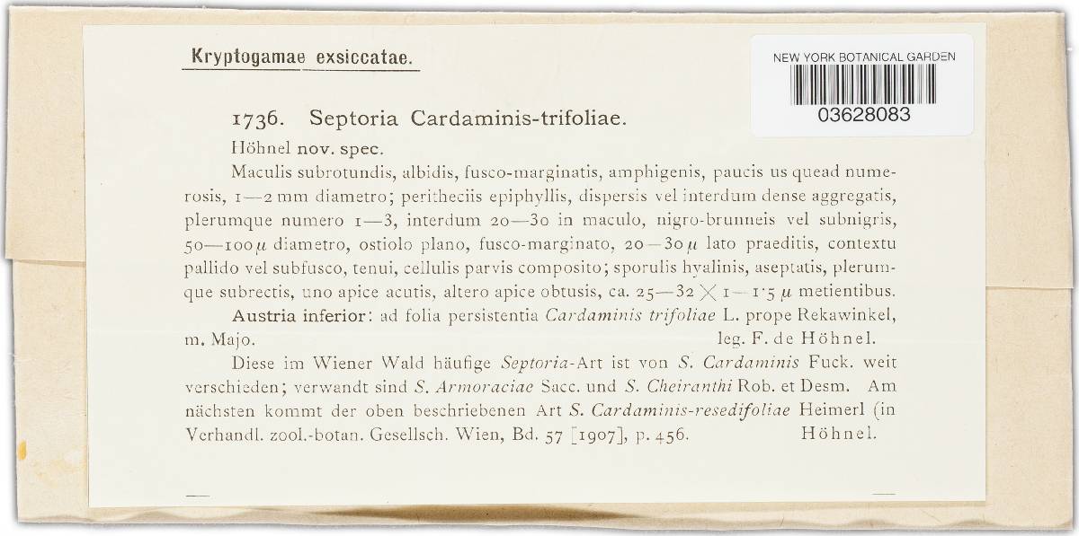 Septoria cardamines-trifoliae image