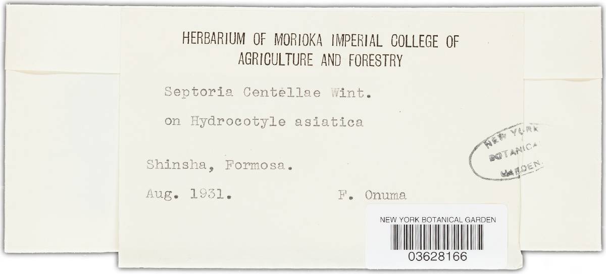 Septoria centellae image