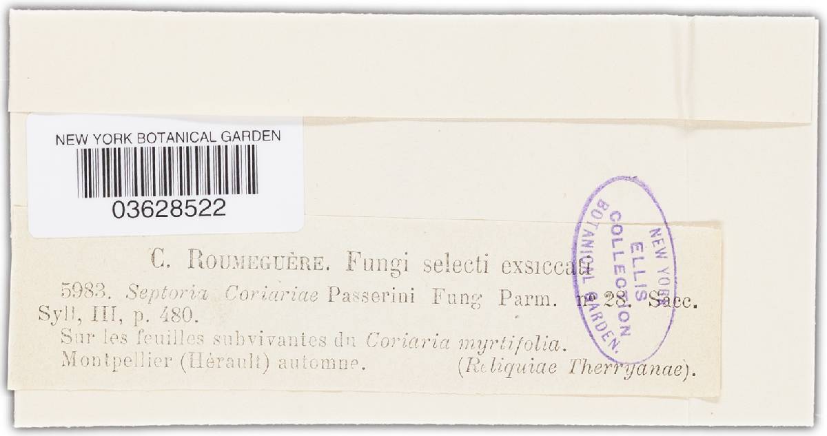 Septoria coriariae image